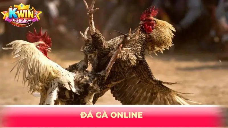 Đá gà online
