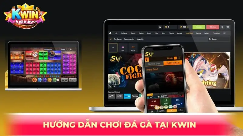Hướng dẫn chơi đá gà tại KWIN