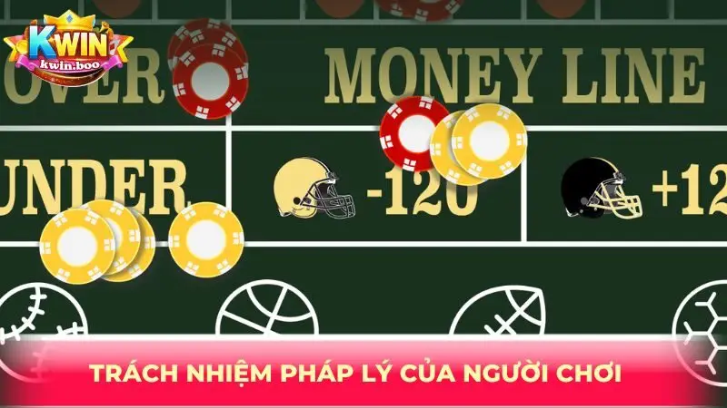 Trách nhiệm pháp lý của người chơi